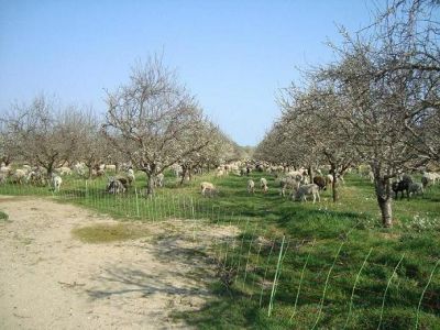 EXPLOITATION A LESPIGNAN