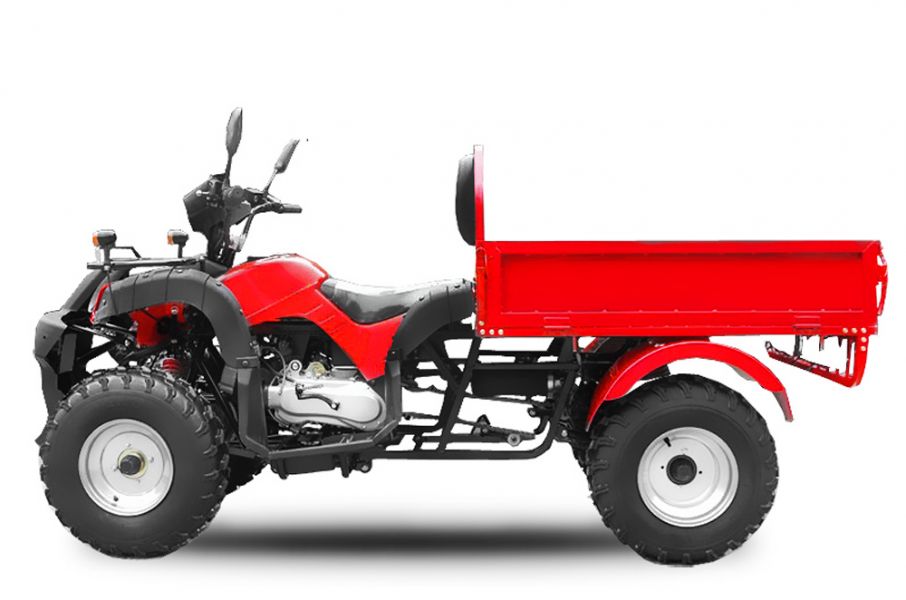 Quad 150cc Jinling DUMPER automatique + ma  cee 1pl homologué route 