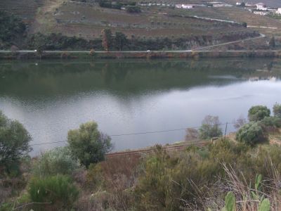  bords de riviér  Douro Vinhateiro