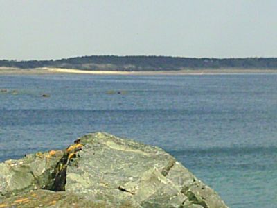 vendée, st vincent sur jard T3 4 couchages mer à 800m