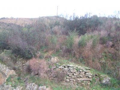  bords de riviér  Douro Vinhateiro