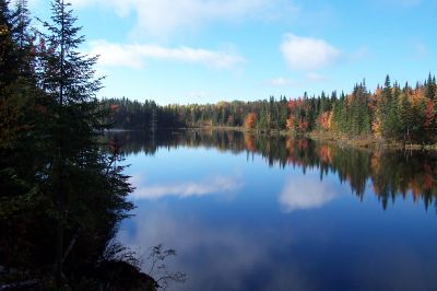 domaine incluant maison+lac+chalet+grange+pavillon-spa+100 acres